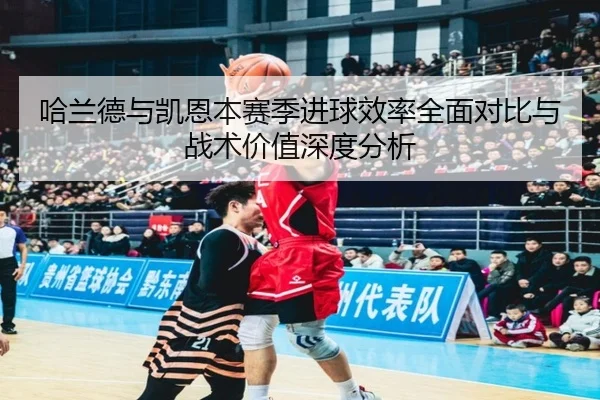 哈兰德与凯恩本赛季进球效率全面对比与战术价值深度分析